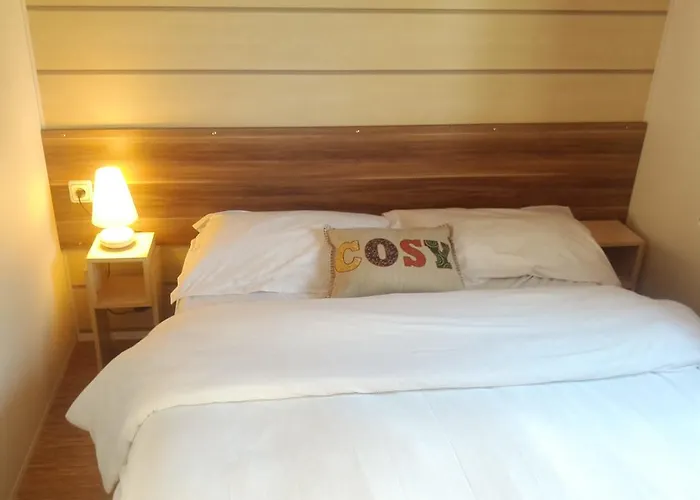 营地 Les Charmettes Mobilhomes17 莱马特